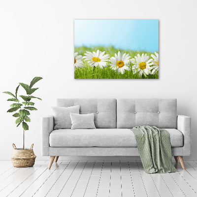 Tableau en acrylique Marguerites