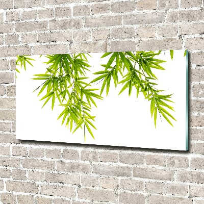 Tableau acrylique Feuilles de bambou