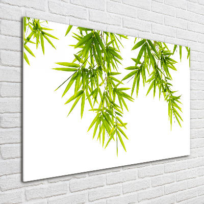 Tableau acrylique Feuilles de bambou