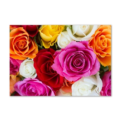 Acrylique tableau Roses colorées