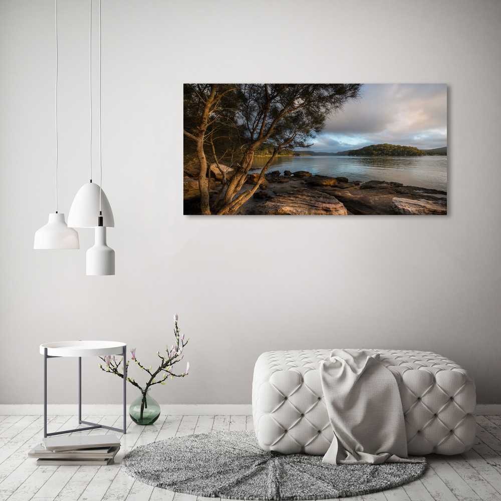 Tableau verre acrylique Arbre au bord de la rivière