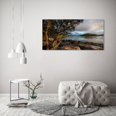 Tableau verre acrylique Arbre au bord de la rivière