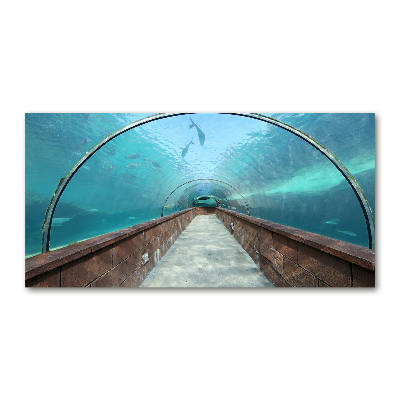 Tableau sur verre acrylique Tunnel aquarium