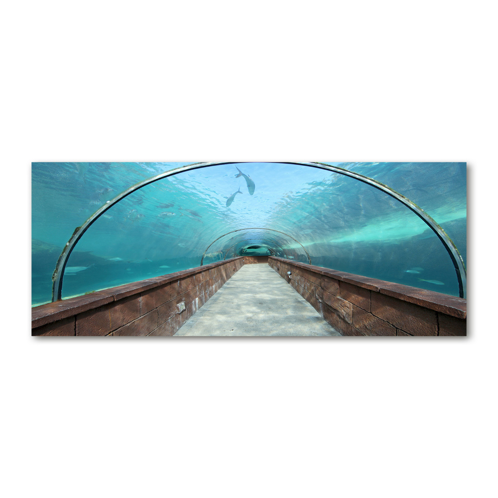 Tableau sur verre acrylique Tunnel aquarium