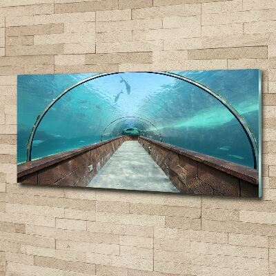 Tableau sur verre acrylique Tunnel aquarium