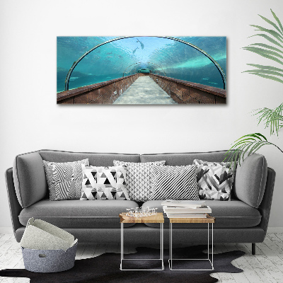 Tableau sur verre acrylique Tunnel aquarium