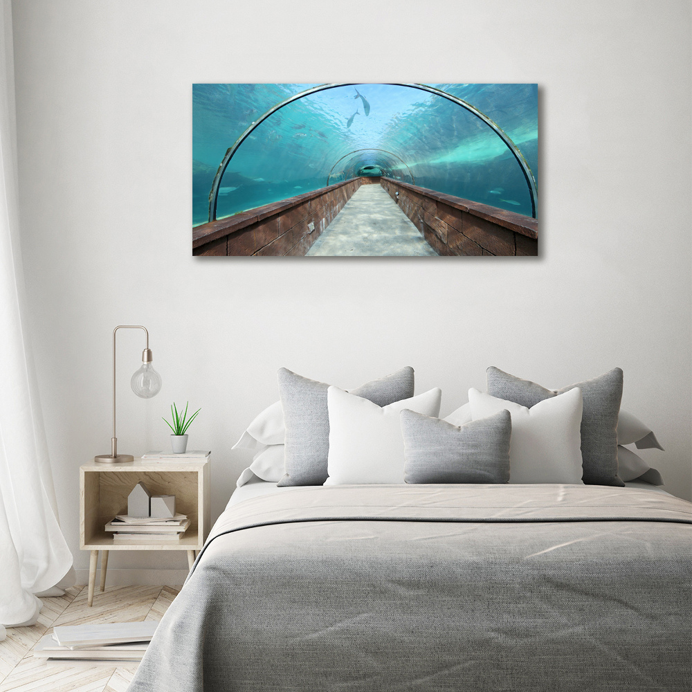 Tableau sur verre acrylique Tunnel aquarium