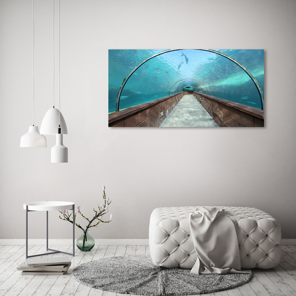 Tableau sur verre acrylique Tunnel aquarium