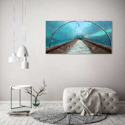 Tableau sur verre acrylique Tunnel aquarium