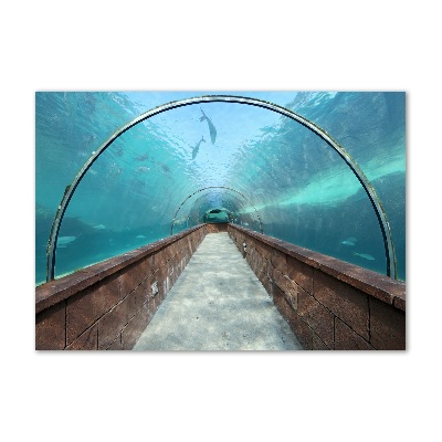 Tableau sur verre acrylique Tunnel aquarium