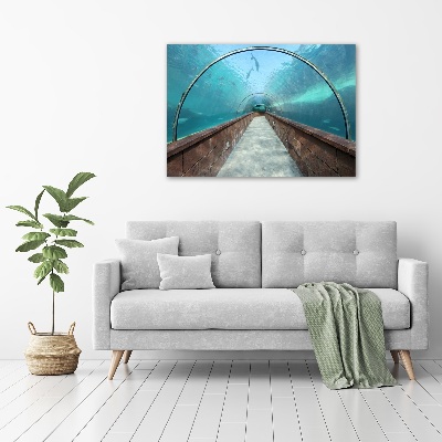 Tableau sur verre acrylique Tunnel aquarium