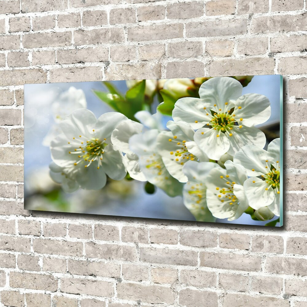 Tableau sur verre acrylique Fleur de cerisier