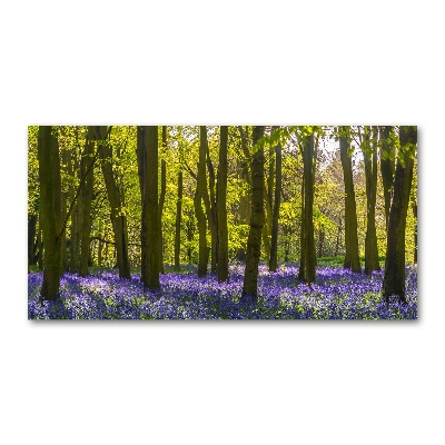 Tableau sur verre acrylique Forêt au printemps