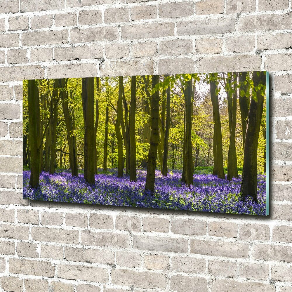 Tableau sur verre acrylique Forêt au printemps