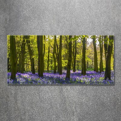 Tableau sur verre acrylique Forêt au printemps