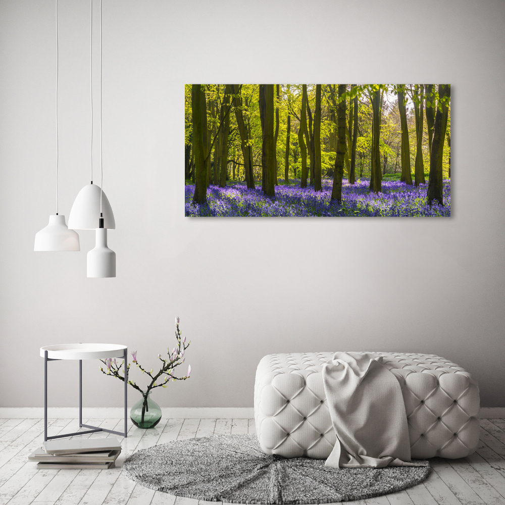 Tableau sur verre acrylique Forêt au printemps