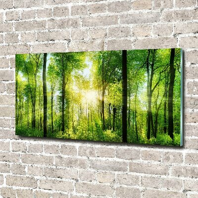 Acrylique tableau Forêt au soleil