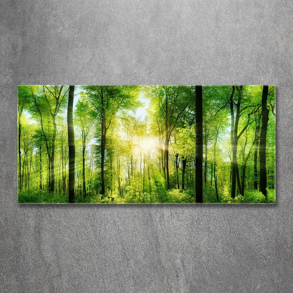 Acrylique tableau Forêt au soleil