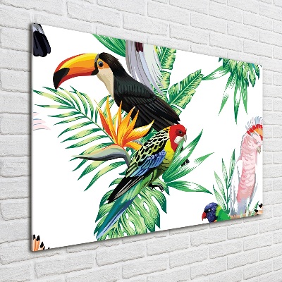 Tableau en acrylique Oiseaux tropicaux