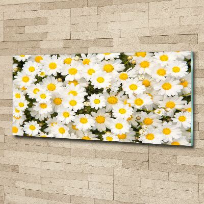 Tableau verre acrylique Marguerites