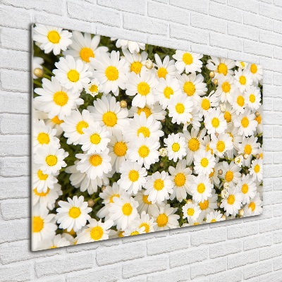 Tableau verre acrylique Marguerites