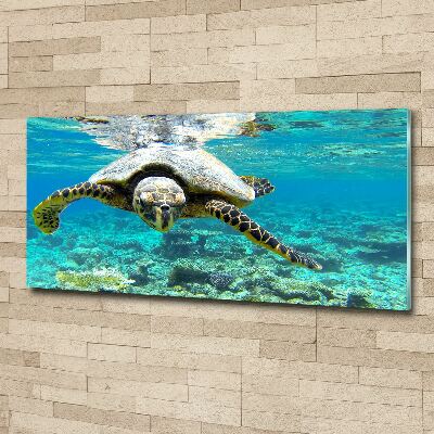 Acrylique tableau Tortue de mer