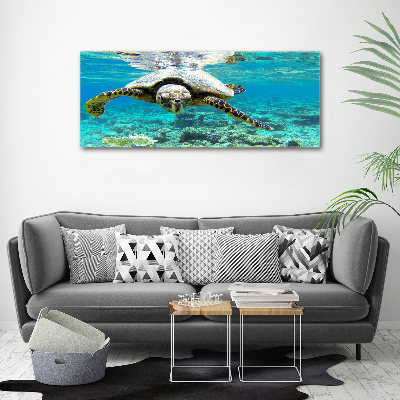 Acrylique tableau Tortue de mer