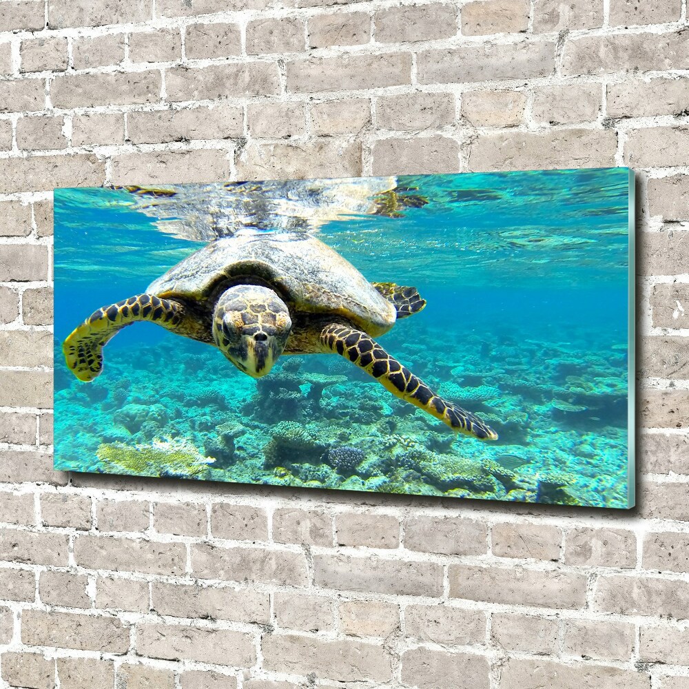 Acrylique tableau Tortue de mer