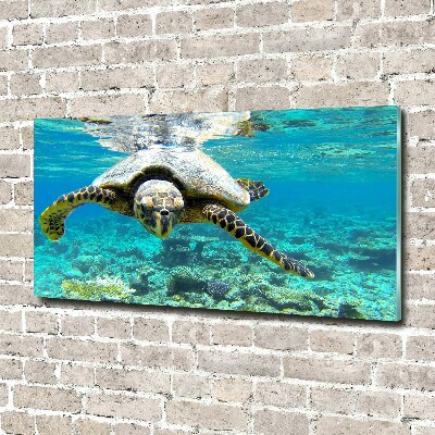 Acrylique tableau Tortue de mer