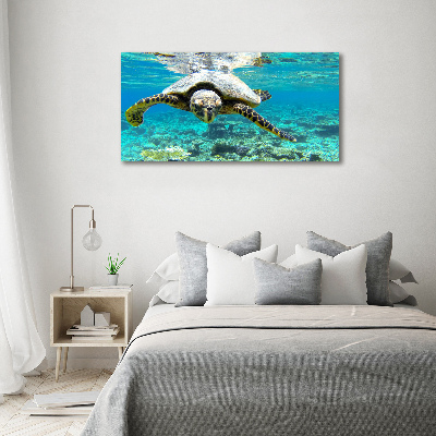 Acrylique tableau Tortue de mer