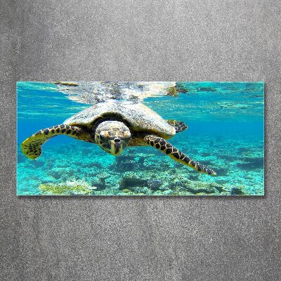 Acrylique tableau Tortue de mer