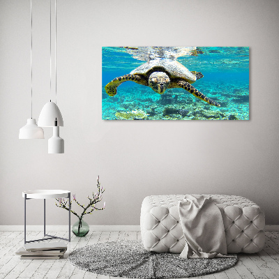 Acrylique tableau Tortue de mer