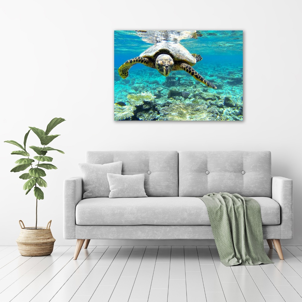 Acrylique tableau Tortue de mer