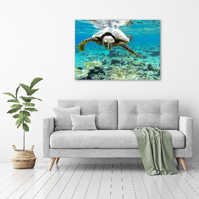 Acrylique tableau Tortue de mer