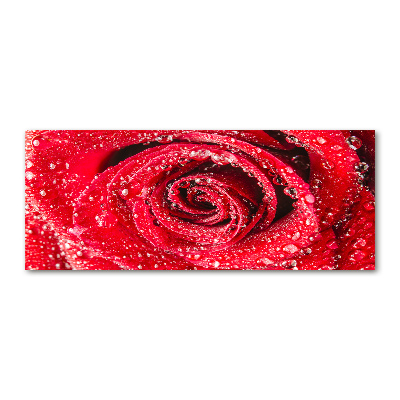Tableau acrylique Gouttes d'eau sur une rose
