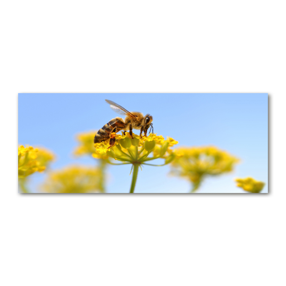 Tableau verre acrylique Une abeille sur une fleur