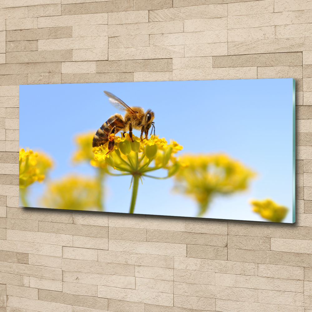 Tableau verre acrylique Une abeille sur une fleur