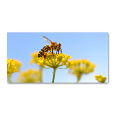 Tableau verre acrylique Une abeille sur une fleur