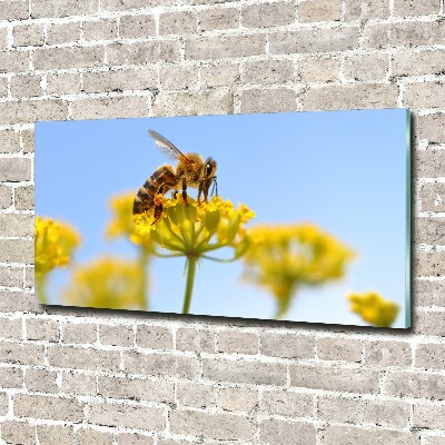 Tableau verre acrylique Une abeille sur une fleur