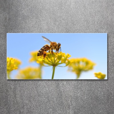 Tableau verre acrylique Une abeille sur une fleur