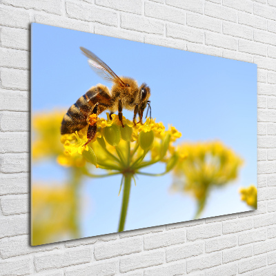 Tableau verre acrylique Une abeille sur une fleur