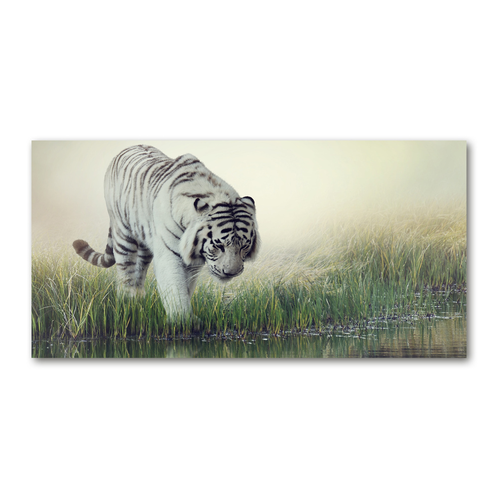 Tableau sur verre acrylique Tigre blanc