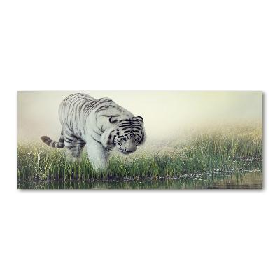 Tableau sur verre acrylique Tigre blanc