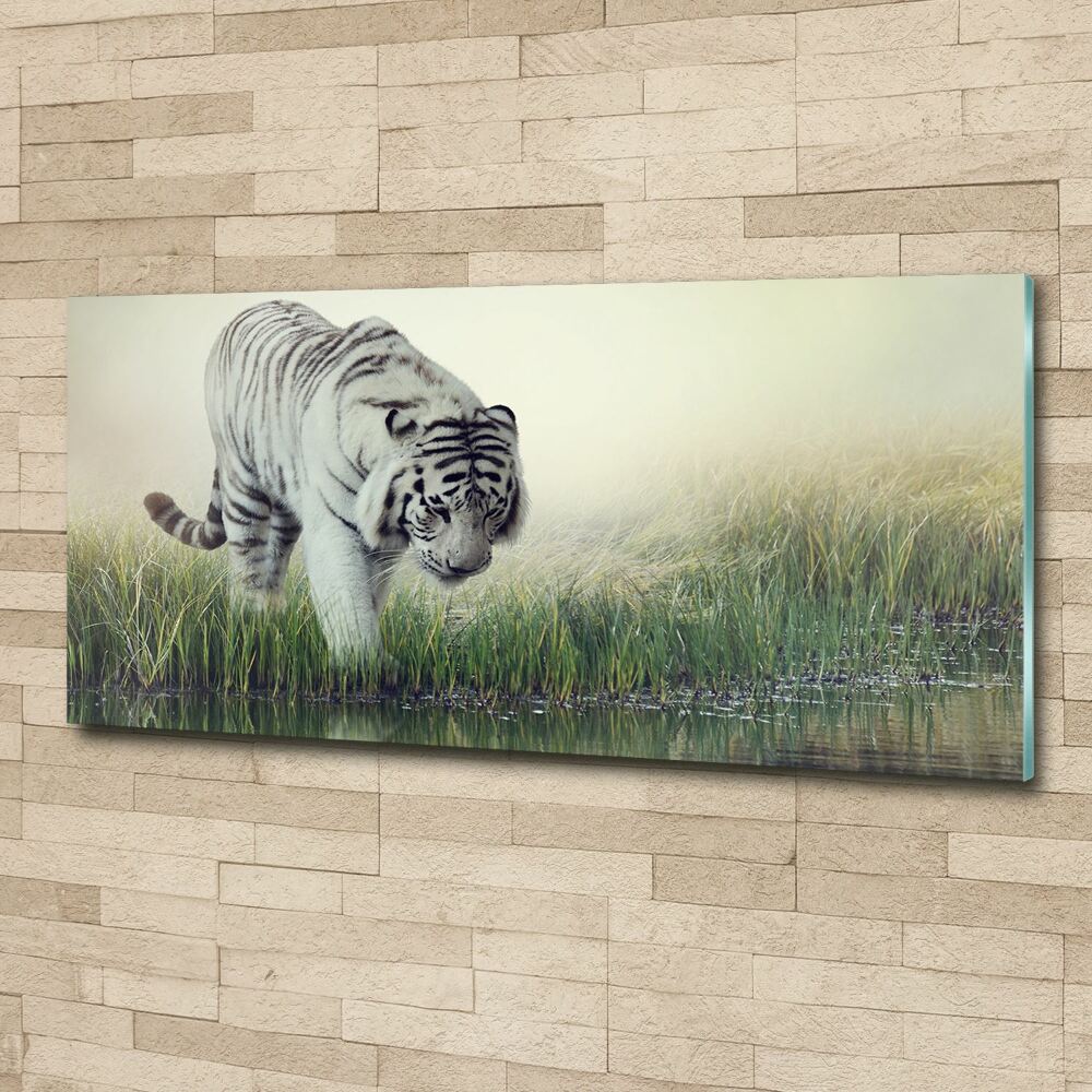 Tableau sur verre acrylique Tigre blanc