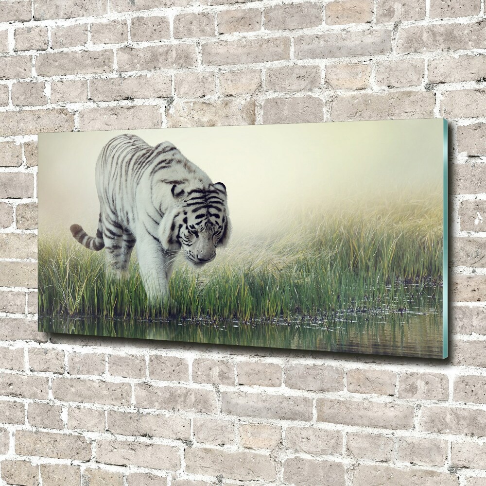 Tableau sur verre acrylique Tigre blanc