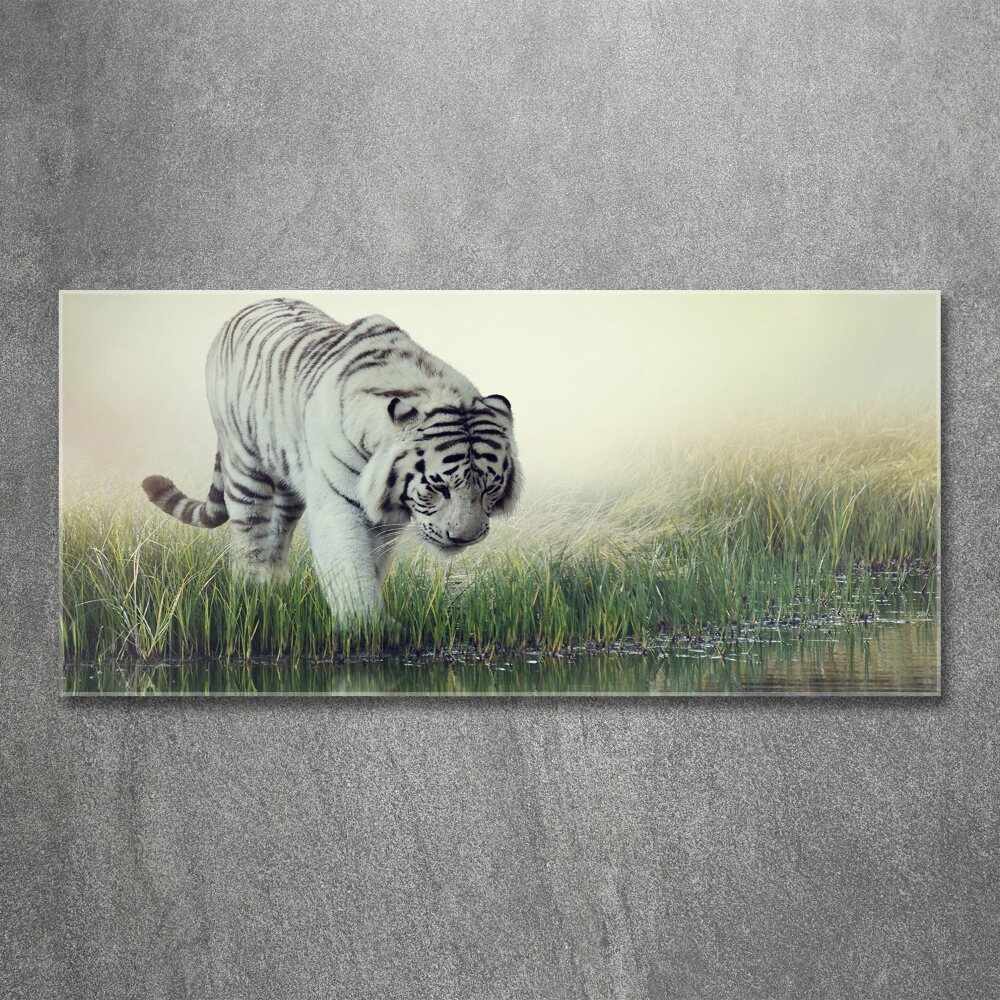 Tableau sur verre acrylique Tigre blanc