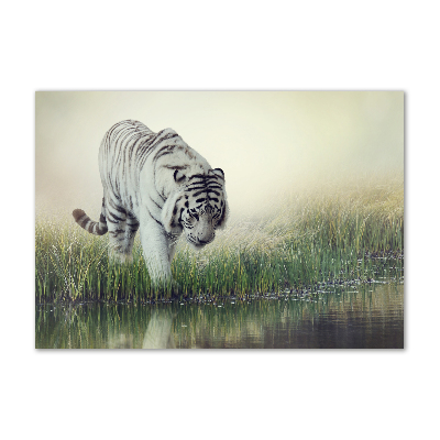 Tableau sur verre acrylique Tigre blanc