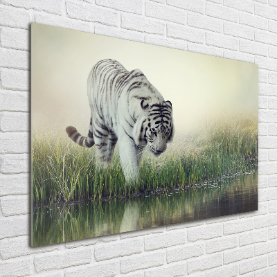 Tableau sur verre acrylique Tigre blanc