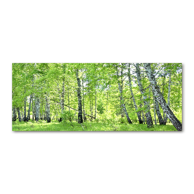 Tableau en acrylique Forêt de bouleaux