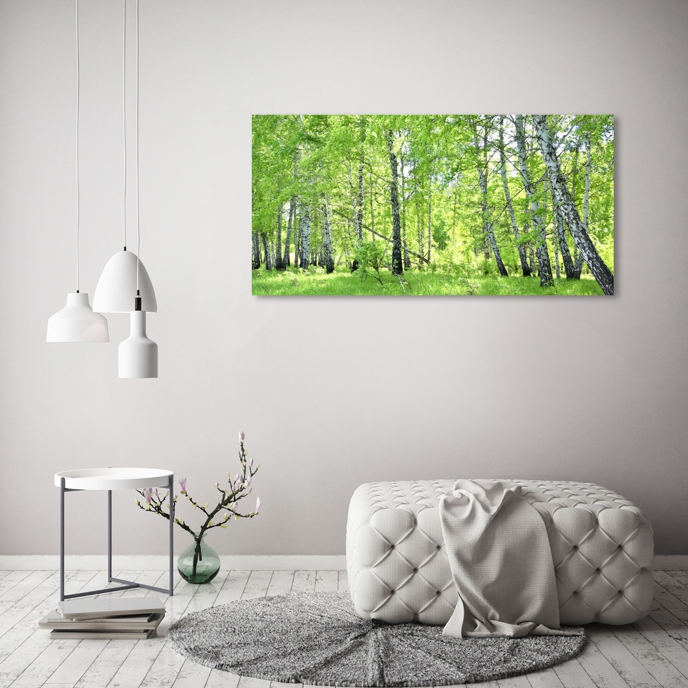 Tableau en acrylique Forêt de bouleaux